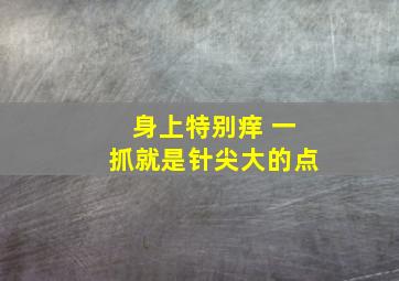 身上特别痒 一抓就是针尖大的点